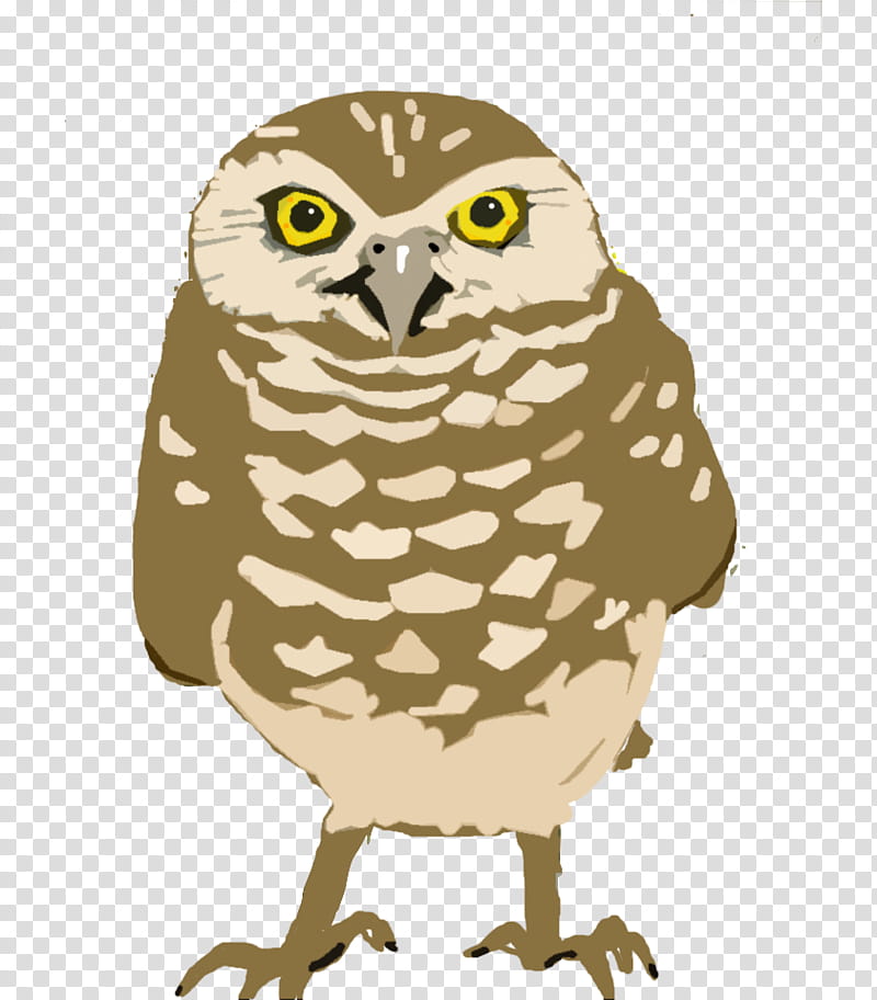 Grey, Owl, Burrowing Owl, Bird, Cornell Lab Of Ornithology, Great Horned Owl, Snowy Owl, Great Grey Owl transparent background PNG clipart