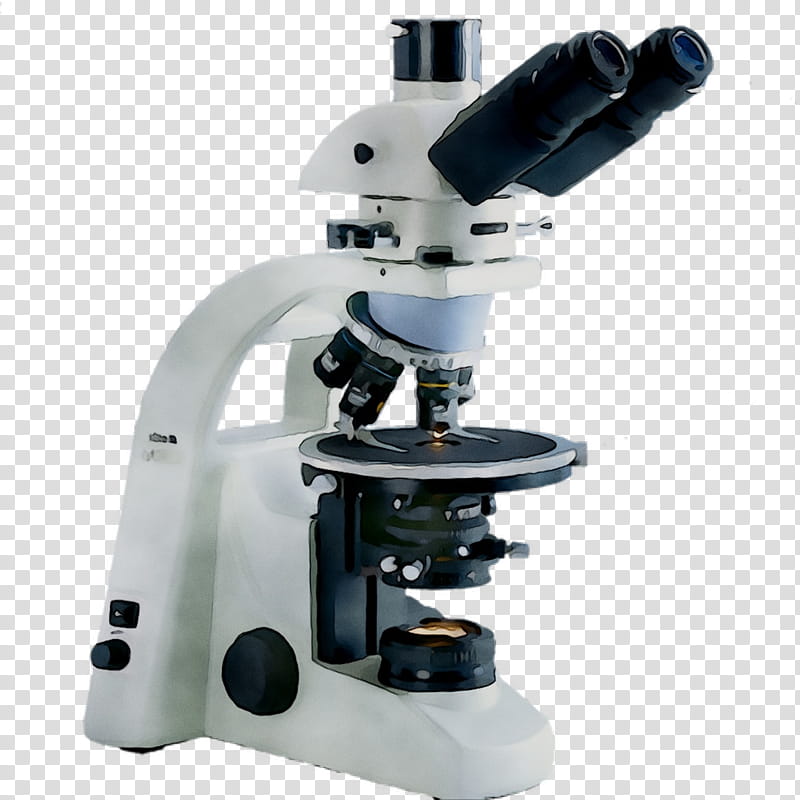 Microscope, University, Algae, Unicellular Organism, Diatom, Angle, Scientific Instrument, Optical Instrument transparent background PNG clipart