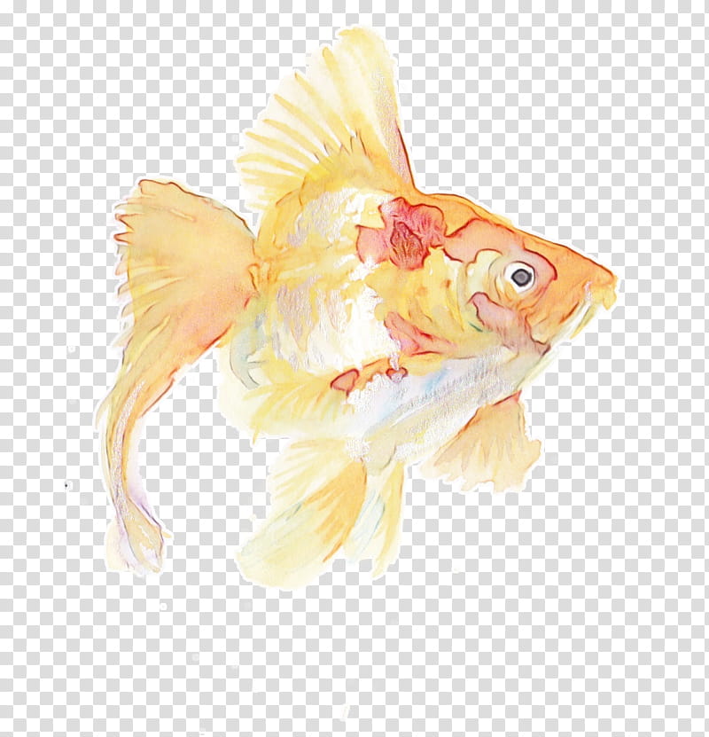 Watercolor Animal, Paint, Wet Ink, Watercolor Painting, Goldfish, Drawing, Painted Fish, Koi transparent background PNG clipart