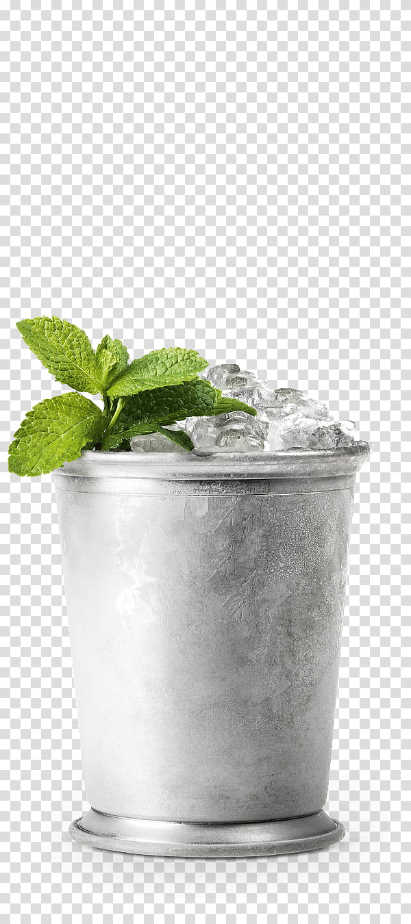 Mojito, Schladerer, Mint Julep, Fruit Brandy, Tom Collins, Moscow Mule, Kirsch, Pear transparent background PNG clipart