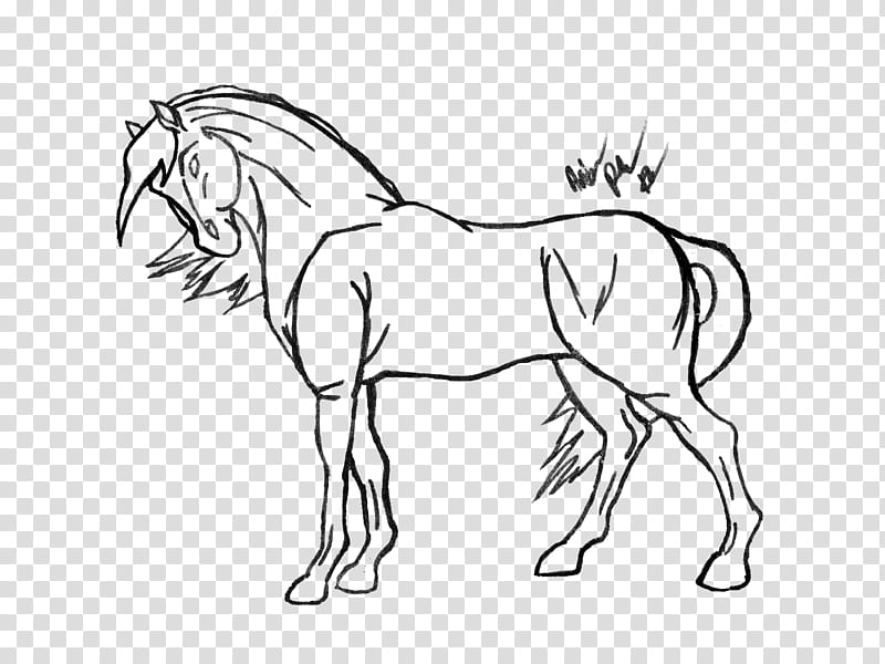 Horse Line Art FREE, horse illustration transparent background PNG clipart