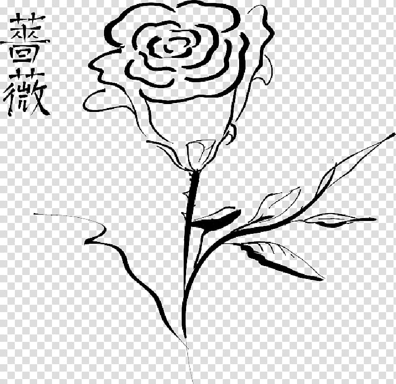 Compass Rose Drawing, Line Art, Silhouette, Blackandwhite, Flower, Plant, Leaf, Plant Stem transparent background PNG clipart