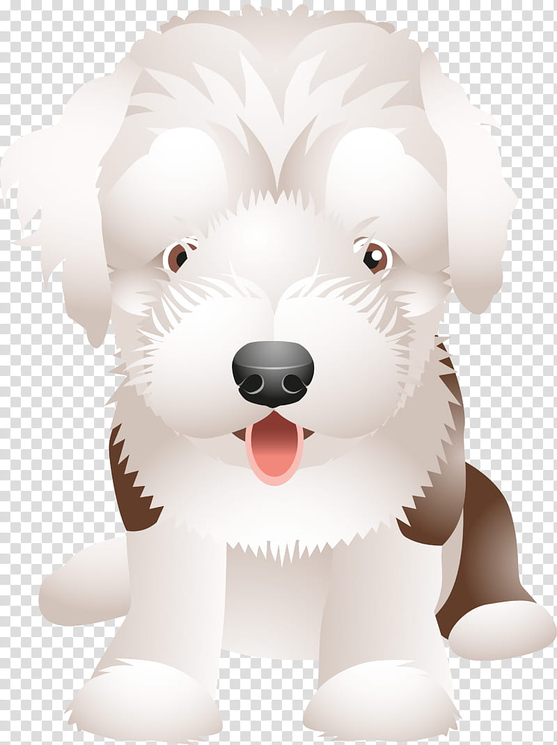 Dog Paw, Maltese Dog, Puppy, Schnoodle, Companion Dog, Bichon Frise, Pet, Filhote transparent background PNG clipart