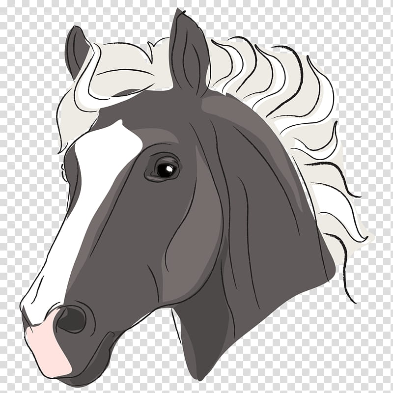 Horse, Pony, Horse Head Mask, Drawing, Bridle, Mane, Cartoon, Mare transparent background PNG clipart