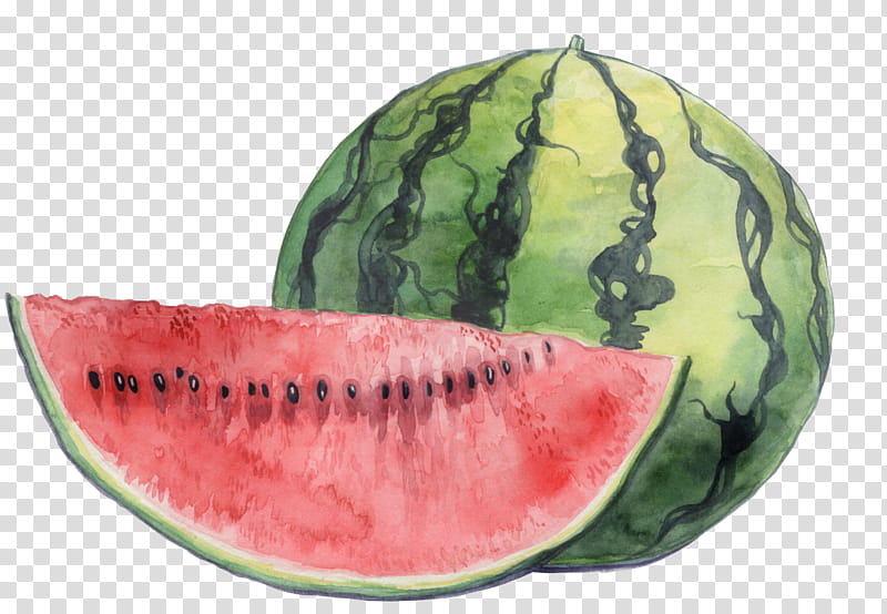 Watermelon, Food, Local Food, Fruit, Citrullus, Plant, Vegetable, Superfood transparent background PNG clipart