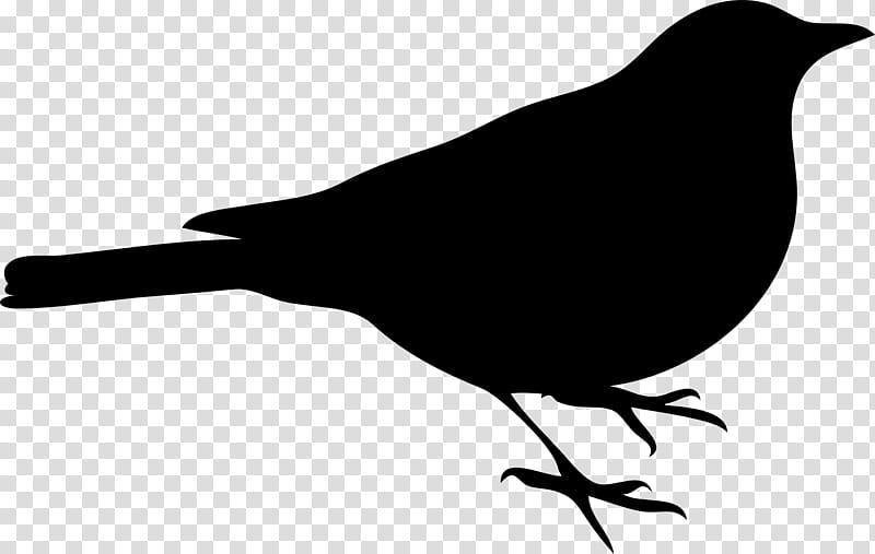 Mockingbird Drawing, Owl, Silhouette, Common Raven, Crow, Beak, Blackbird, Robin transparent background PNG clipart