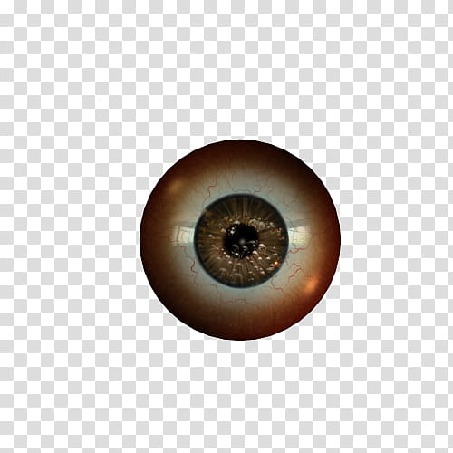 Texture Set  Eyeballs, brown eye illustration transparent background PNG clipart