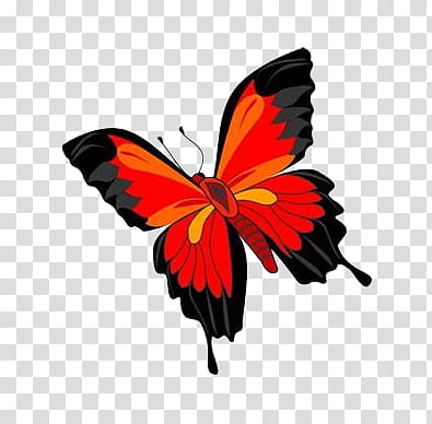 , black and red swallowtail butterfly transparent background PNG clipart