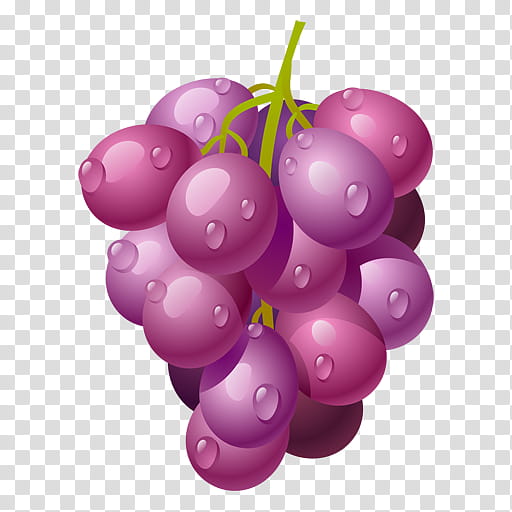 Globe, Common Grape Vine, Sultana, Wine, Muscadine, Must, Red Wine, Fruit transparent background PNG clipart