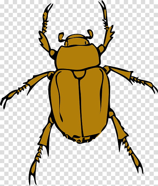 Beetle Insect, Presentation, Document, Cartoon, Yellow, Pest, Weevil, Darkling Beetles transparent background PNG clipart
