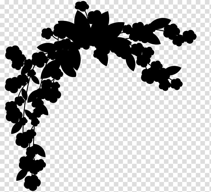 Flower Leaves, Line, Leaf, Black M, Grape, Plant, Branch, Vitis transparent background PNG clipart
