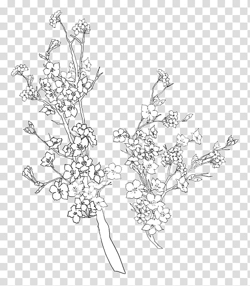 Flowers Draw ByunCamis, white flowering tree illustration transparent background PNG clipart