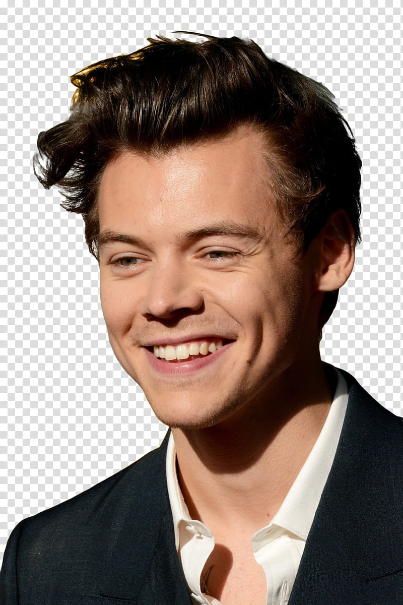 HARRY STYLES transparent background PNG clipart