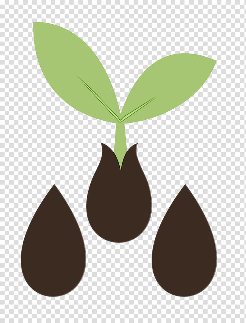 seed sprout clipart