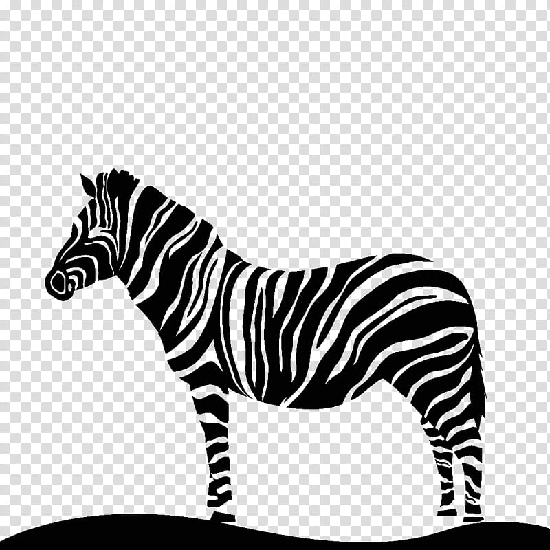 Cat Silhouette, Zebra, Horse, Sticker, Animal, Quagga, Advertising, Lion transparent background PNG clipart