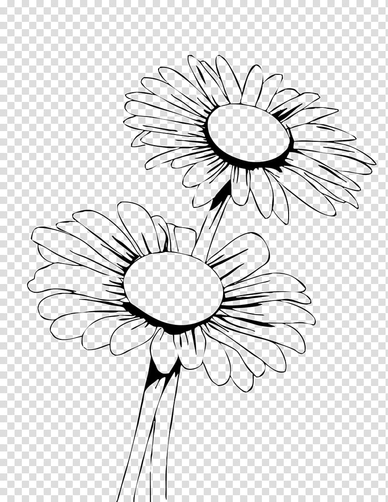 Drawing Of Family, Coloring Book, Painting, Flower, Common Daisy, Mexican Marigold, Oxeye Daisy, Pencil transparent background PNG clipart