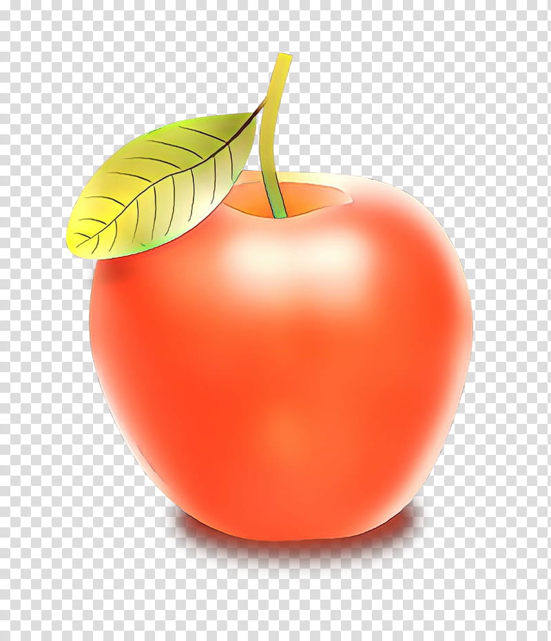 Cherry Tree, Cartoon, Roma Tomato, Food, Cherry Tomato, Plum Tomato, Banco De ns, Fruit transparent background PNG clipart