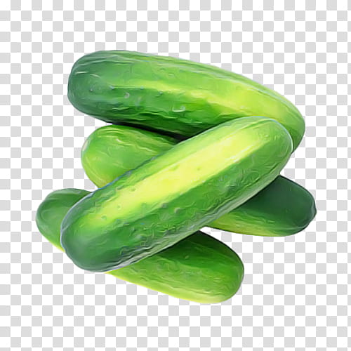 green cucumber vegetable cucumis plant, Cucumber Gourd And Melon Family, Food, Spreewald Gherkins transparent background PNG clipart