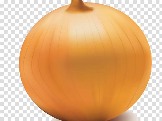 Onion, Yellow Onion, Calabaza, Pickled Onion, Welsh Onion, Vegetable, Winter Squash, Pumpkin transparent background PNG clipart