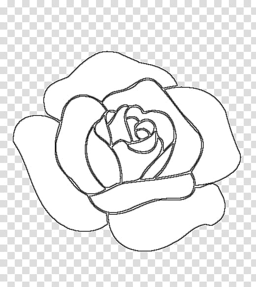 Rosa lineal base, rose sketch transparent background PNG clipart ...
