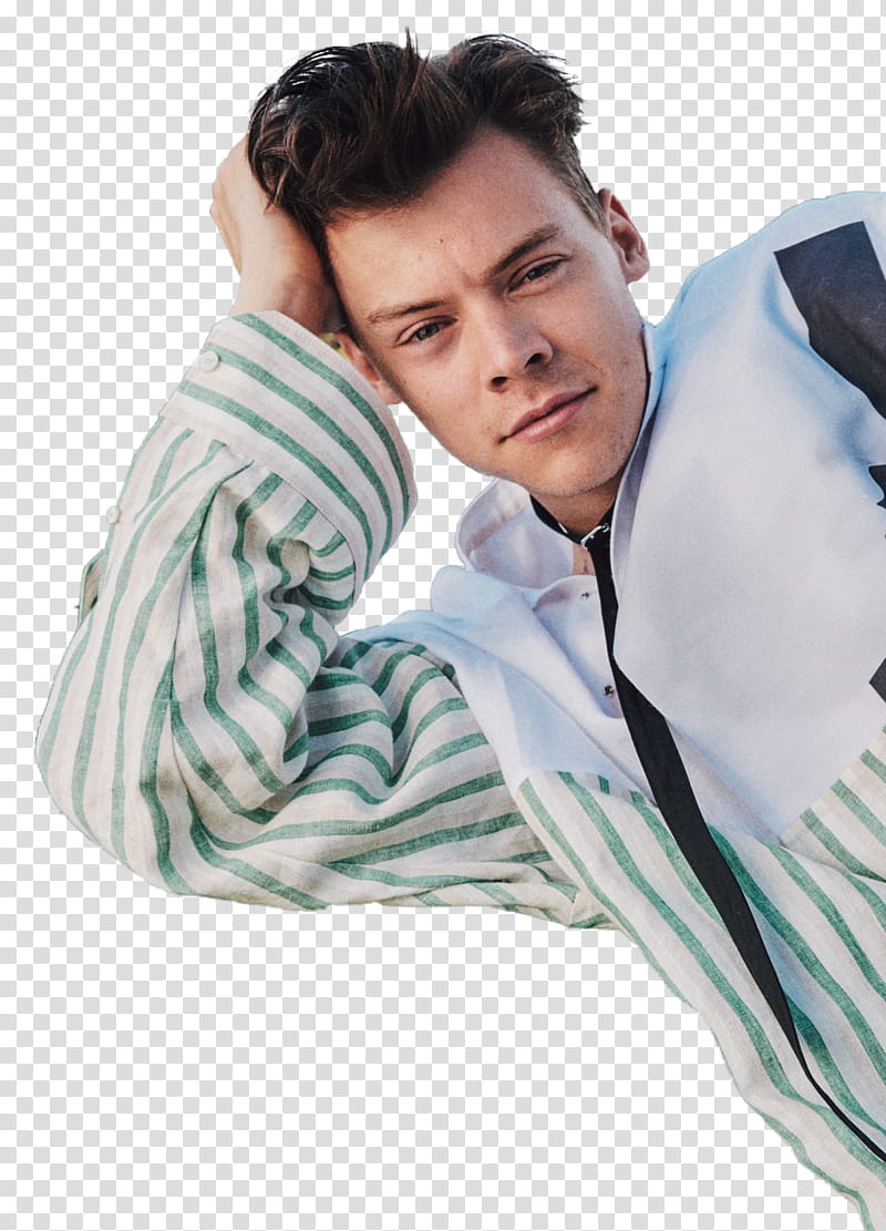 Harry Styles transparent background PNG clipart