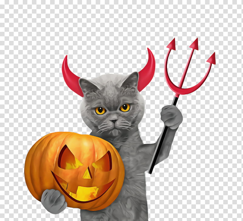 Orange, Cat, Trickortreat, Small To Mediumsized Cats, Black Cat, Whiskers, Calabaza transparent background PNG clipart