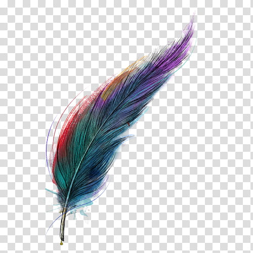 Shopping, Feather, Tshirt, Quill, Throw Pillows, Clothing, Clothing Accessories, Leggings transparent background PNG clipart