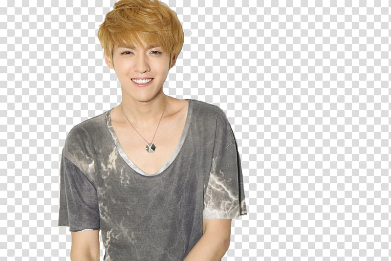 Wu Yi Fan Kris, man wearing gray scoop-neck shirt transparent background PNG clipart