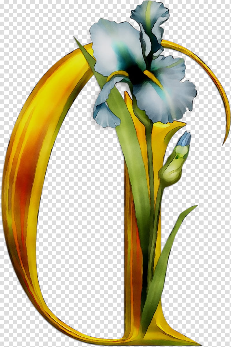 Flowers, Floral Design, Cut Flowers, Yellow, Plant Stem, Plants, Iris, Nepenthes transparent background PNG clipart