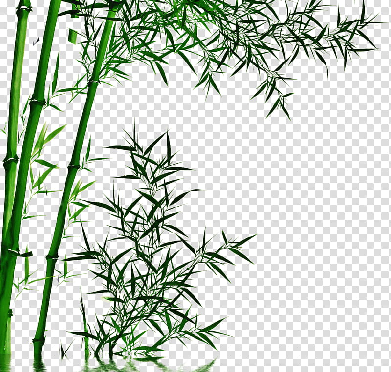 Drawing Bambusoideae Television Chinese painting, Ink, Ink Wash Painting, Shan Shui, Plant, Flower, Grass Family, Elymus Repens transparent background PNG clipart