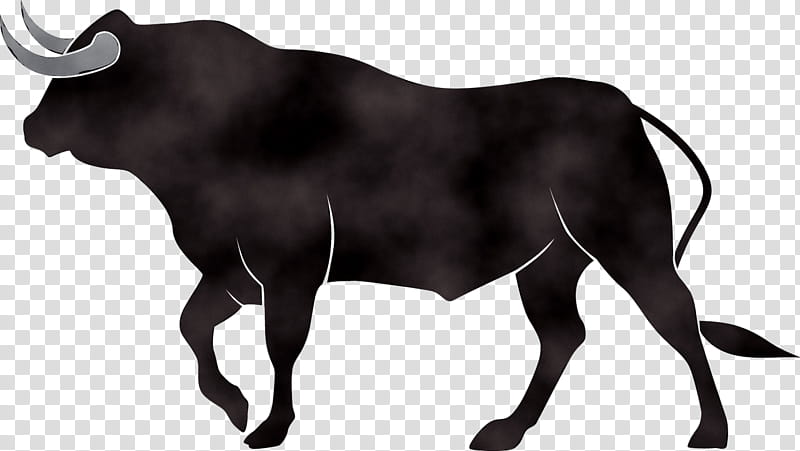 Cow, Dairy Cattle, Bull, Ox, Bou En Corda, 2018, Zebu, Spanish Fighting Bull transparent background PNG clipart