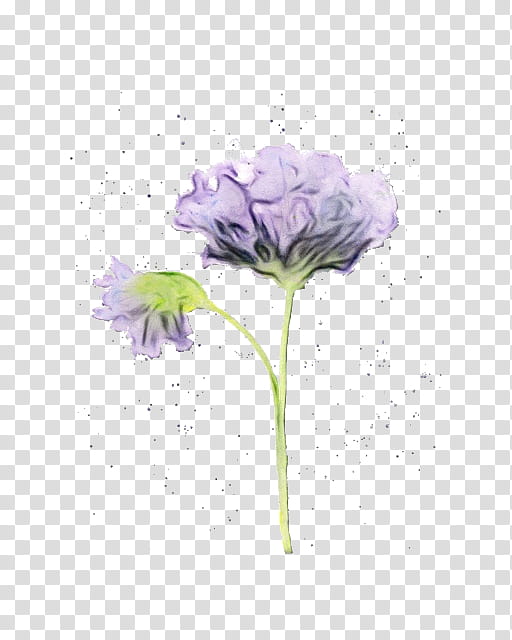 Purple Watercolor Flower, Paint, Wet Ink, Still Life , Cut Flowers, Plant Stem, Plants, Herbaceous Plant transparent background PNG clipart