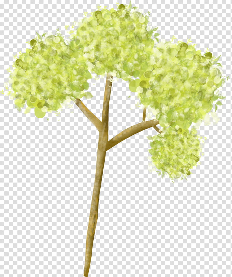 Flower Stem, Plant Stem, Plants, Leaf, Tree, Hydrangea, Viburnum, Cornales transparent background PNG clipart