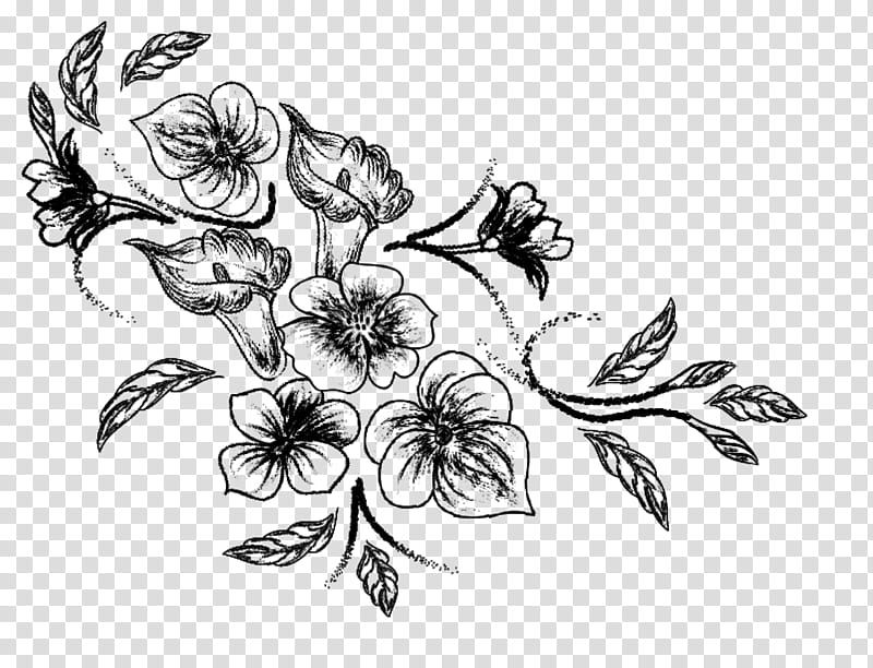 Spring flowers , black flowers sketch transparent background PNG clipart