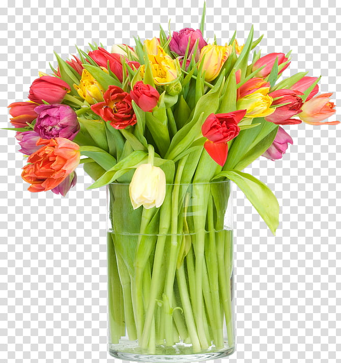 Lily Flower, Tulip, Flower Bouquet, Indira Gandhi Memorial Tulip Garden, Vase, Floristry, Daffodil, Cut Flowers transparent background PNG clipart