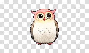 , owl illustration transparent background PNG clipart thumbnail