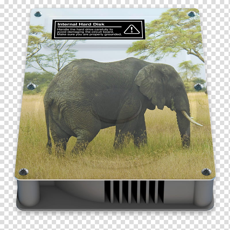 HDD Icons, OS X ., Lion, elephant graphic internal HDD transparent background PNG clipart