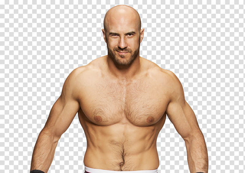 Cesaro Renders  transparent background PNG clipart