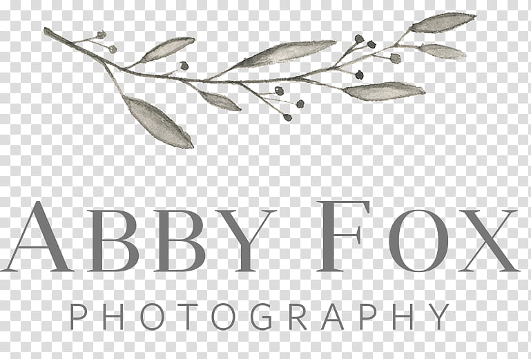 Fox Logo, grapher, Wedding, Engagement, Portrait, Blog, Bride, Discounts And Allowances transparent background PNG clipart