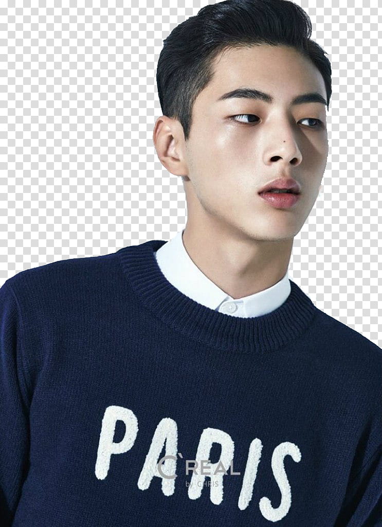 Kim Ji Soo transparent background PNG clipart