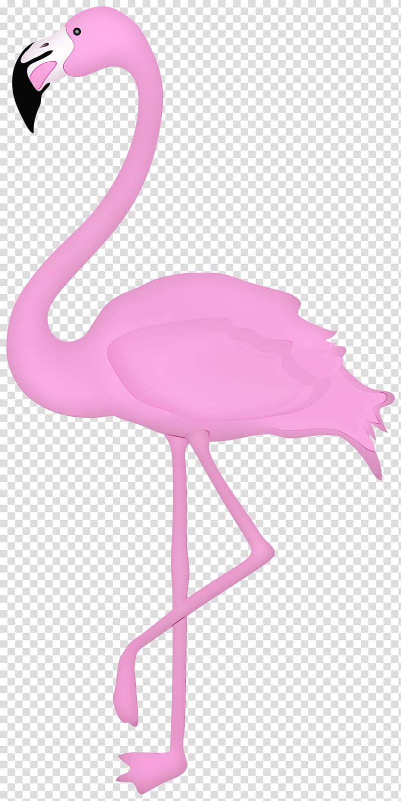 Pink Flamingo, Phoenicopterus, Bird, Sad Flamingo, Flamenco, Price, Sales, Service transparent background PNG clipart