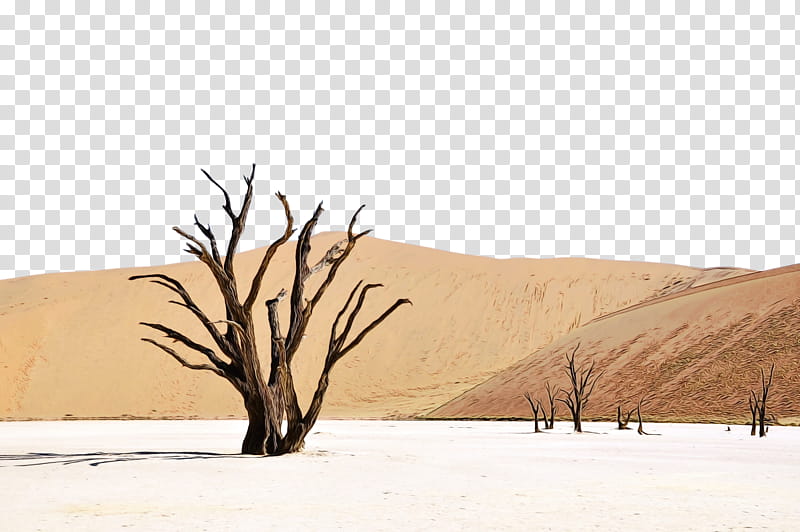 Cartoon Nature, Desert, Sand, Sahara, Paper, Dune, Erg, Natural Environment transparent background PNG clipart
