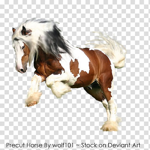 Precut Horse, brown and white horse deviant art transparent background PNG clipart