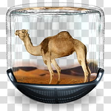 Sphere   , brown camel in glass container illustration transparent background PNG clipart
