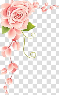 Vintage Flowers, pink and green floral border illustration transparent background PNG clipart