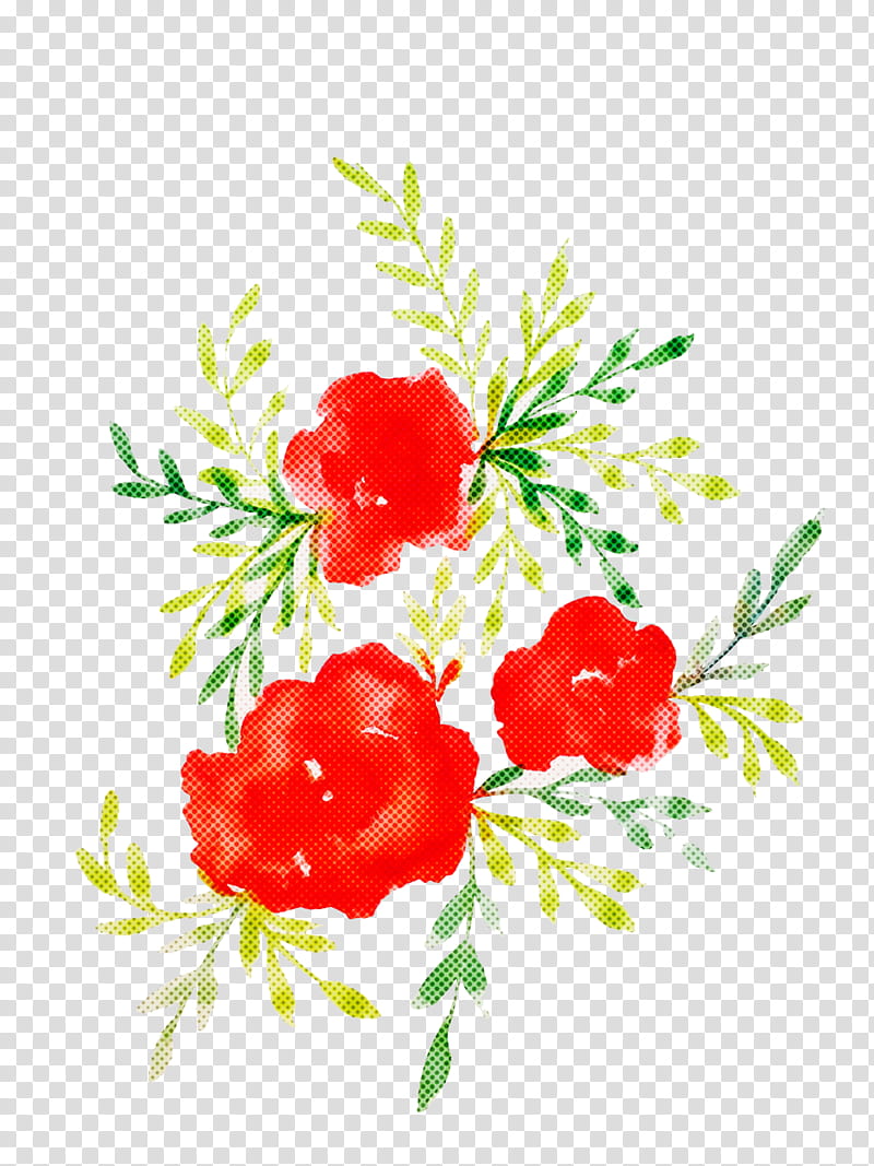 plant branch berry tree flower, Fruit, Conifer, Superfruit, Pine Family transparent background PNG clipart