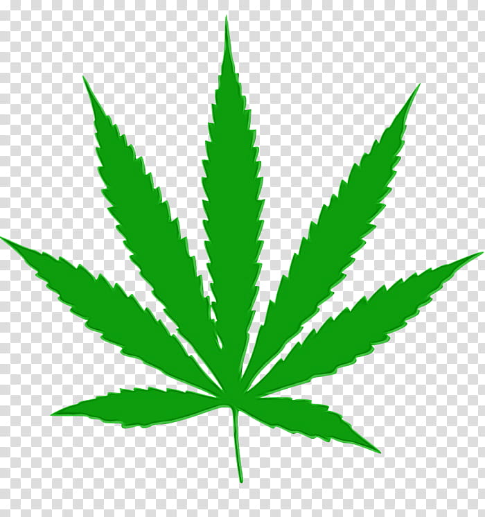 Cannabis Leaf, Watercolor, Paint, Wet Ink, Cannabis Sativa, Cannabis ...