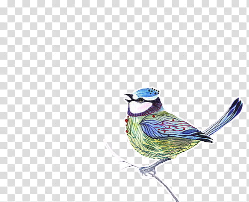 blue and green bird painting transparent background PNG clipart