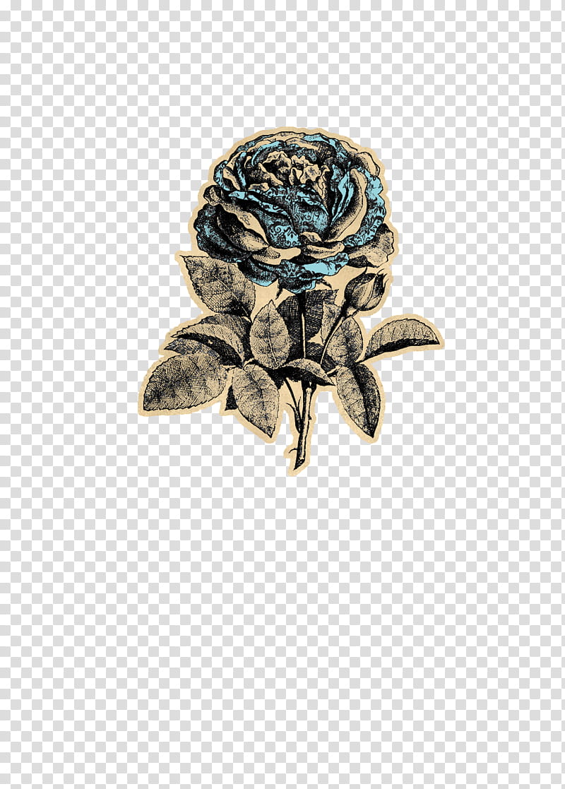 Fragile Song, blue and brown rose flower illustration transparent background PNG clipart