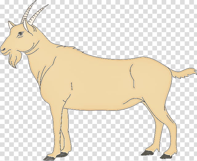 antelope wildlife cow-goat family oryx animal figure, Cowgoat Family, Gemsbok, Fawn, Common Eland transparent background PNG clipart